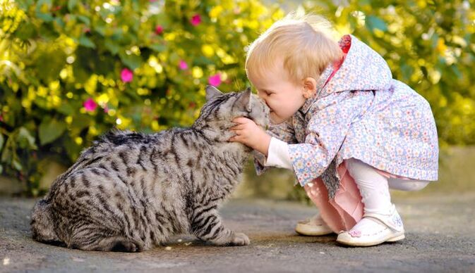 a child kisses a cat and gets worms
