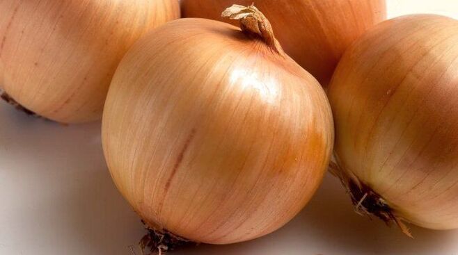 onion for worms