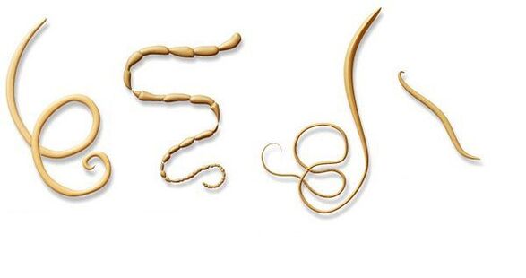 Types of parasites in the body